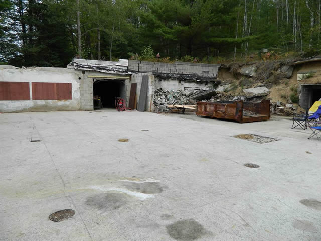 Underground Forest - Summer 2013 From Ron Gross (newer photo)